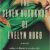 Taylor Jenkins Reid – The Seven Husbands of Evelyn Hugo Audiobook